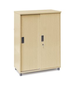 TỦ TÀI LIỆU CÁNH LÙA THSSV13
