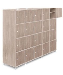 TỦ GIẦY 20 NGĂN CÁNH GỖ -THSSV15