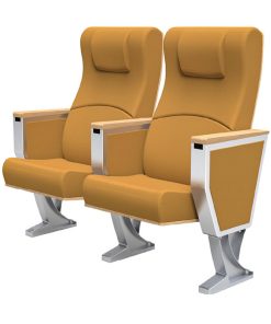 Ghế hội trường SV FMHT1009